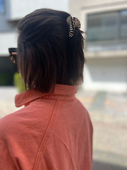 shell clip