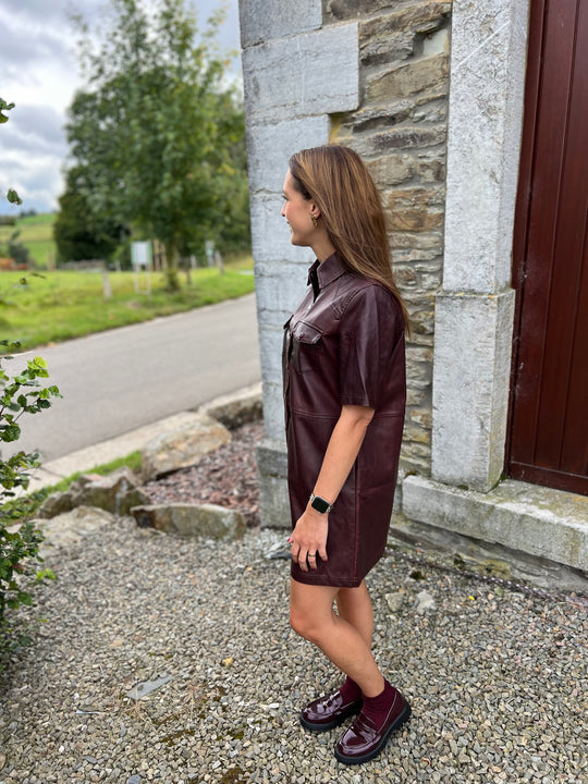 hanna dress