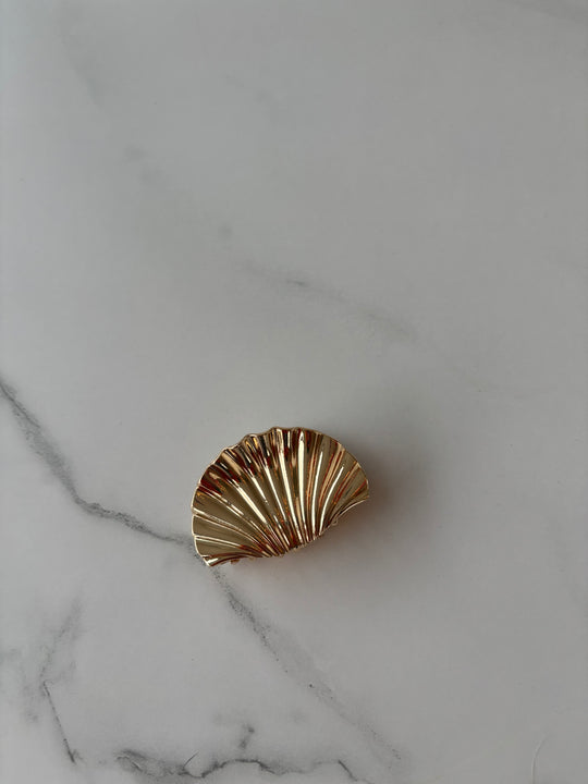 shell clip