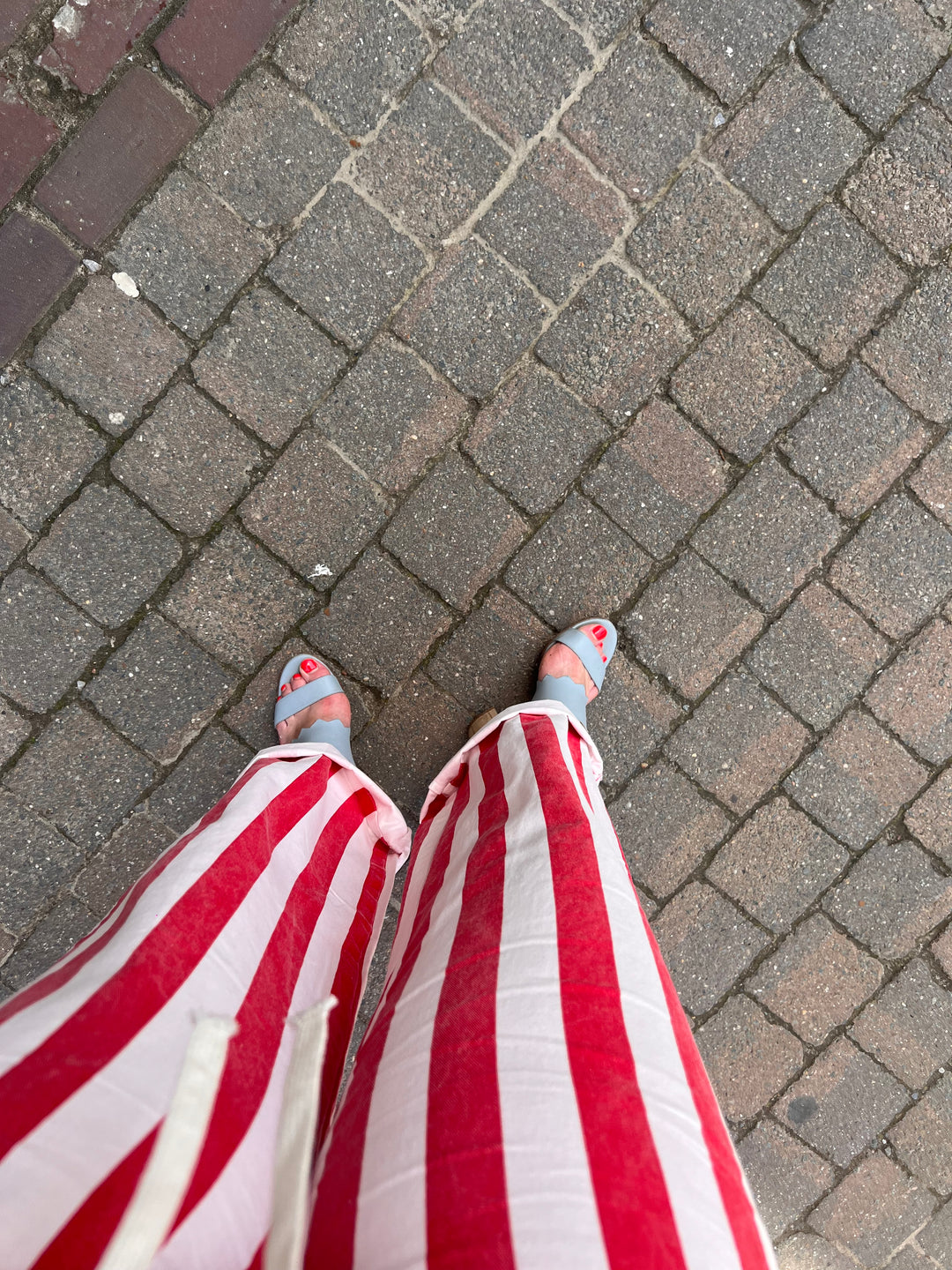colette pants